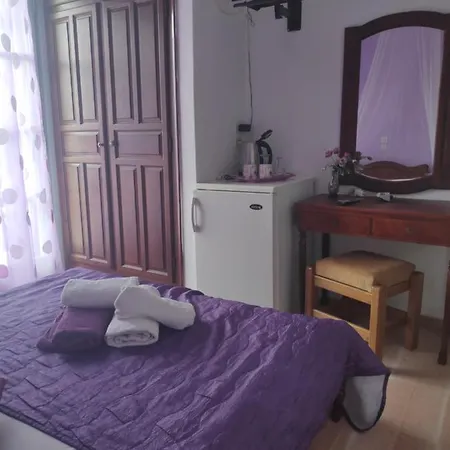 Angela - Zoi 招待所