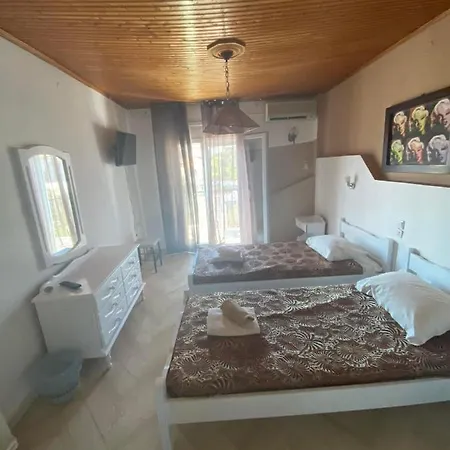 Angela - Zoi 招待所 斯基亚索斯镇